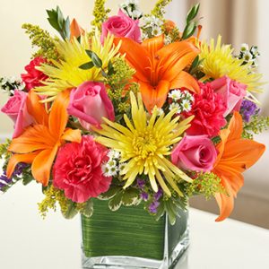 Healing Tears Multi Color Brigh