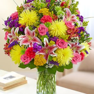 Cherished Memories Multi Color Bright