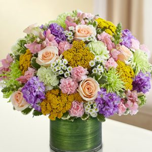 Cherished Memories Multicolor Pastel