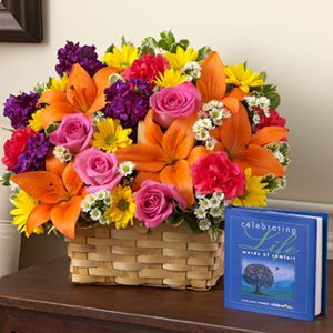 Celebrating Life Multi Color Br