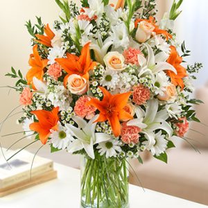 Sincerest Sorrow Peach