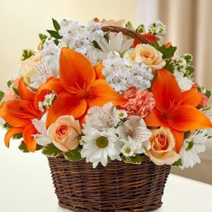 Peace Prayers And Blessings Peach