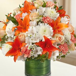 Cherished Memories Peach