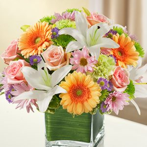 Healing Tears Multicolor Pastel