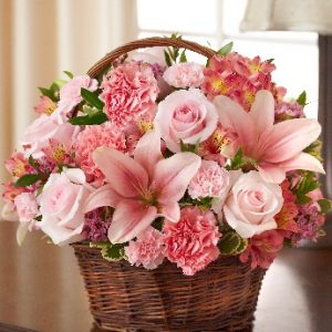 Peace, Prayers And Blessings All Pink