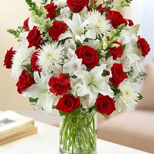 Sincerest Sorrow Red and White