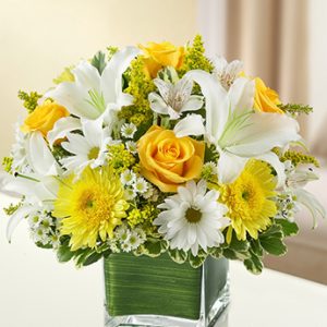 Healing Tears Yellow and White